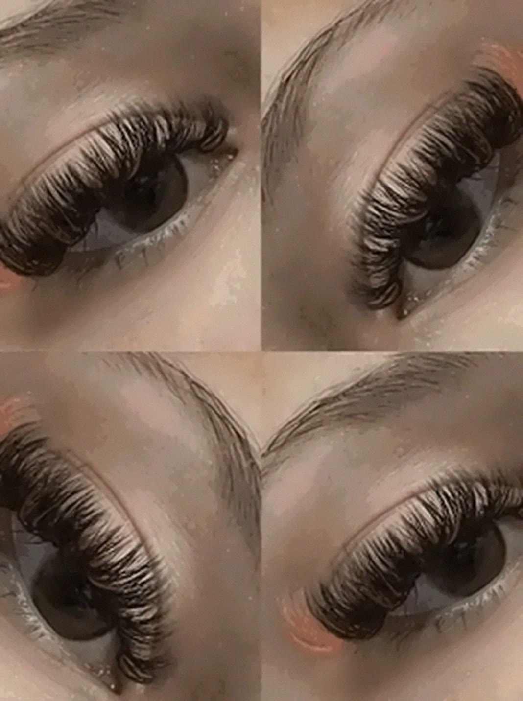 Hybrid lash collage